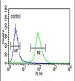 IDH3G Antibody in Flow Cytometry (Flow)