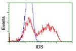 IDS Antibody in Flow Cytometry (Flow)
