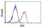 IDS Antibody in Flow Cytometry (Flow)