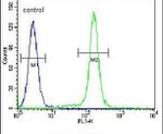 IDUA Antibody in Flow Cytometry (Flow)