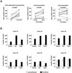 IFN gamma Antibody in ELISA (ELISA)