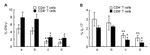 IFN gamma Antibody in Flow Cytometry (Flow)