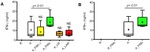 IFN gamma Antibody in ELISA (ELISA)