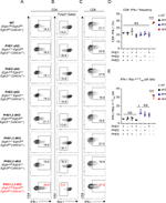 FOXP3 Antibody in Flow Cytometry (Flow)