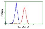 IGF2BP2 Antibody in Flow Cytometry (Flow)