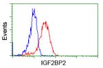 IGF2BP2 Antibody in Flow Cytometry (Flow)