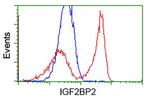 IGF2BP2 Antibody in Flow Cytometry (Flow)
