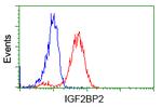 IGF2BP2 Antibody in Flow Cytometry (Flow)