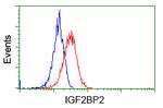 IGF2BP2 Antibody in Flow Cytometry (Flow)