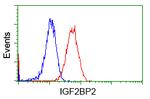 IGF2BP2 Antibody in Flow Cytometry (Flow)