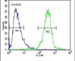 IGF2BP2 Antibody in Flow Cytometry (Flow)