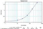 IL-1 beta Protein in ELISA standard (ELISA Std)