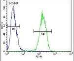 IL-17F Antibody in Flow Cytometry (Flow)