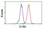 ILVBL Antibody in Flow Cytometry (Flow)