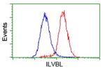 ILVBL Antibody in Flow Cytometry (Flow)