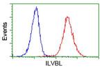 ILVBL Antibody in Flow Cytometry (Flow)