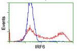 IRF6 Antibody in Flow Cytometry (Flow)