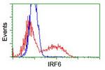 IRF6 Antibody in Flow Cytometry (Flow)