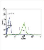 IRF8 Antibody in Flow Cytometry (Flow)