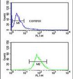 ISLR Antibody in Flow Cytometry (Flow)