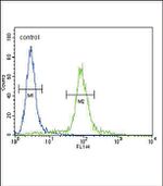 ITGA11 Antibody in Flow Cytometry (Flow)