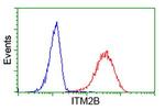 ITM2B Antibody in Flow Cytometry (Flow)