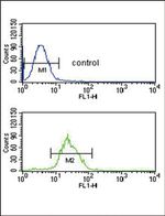 ITPKC Antibody in Flow Cytometry (Flow)