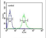 KATNAL1 Antibody in Flow Cytometry (Flow)