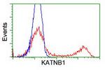 KATNB1 Antibody in Flow Cytometry (Flow)