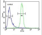 KBTBD5 Antibody in Flow Cytometry (Flow)