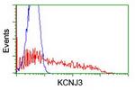 KCNJ3 Antibody in Flow Cytometry (Flow)