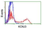 KCNJ3 Antibody in Flow Cytometry (Flow)