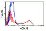 KCNJ3 Antibody in Flow Cytometry (Flow)