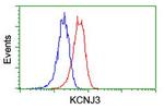 KCNJ3 Antibody in Flow Cytometry (Flow)