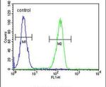 KCT2 Antibody in Flow Cytometry (Flow)