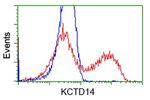 KCTD14 Antibody in Flow Cytometry (Flow)