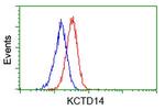 KCTD14 Antibody in Flow Cytometry (Flow)