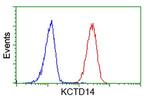 KCTD14 Antibody in Flow Cytometry (Flow)
