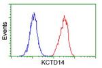 KCTD14 Antibody in Flow Cytometry (Flow)