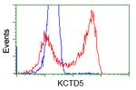 KCTD5 Antibody in Flow Cytometry (Flow)