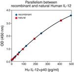 Human IL-12 p40/p70 ELISA Kit