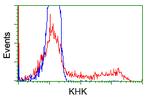 KHK Antibody in Flow Cytometry (Flow)
