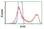 KHK Antibody in Flow Cytometry (Flow)