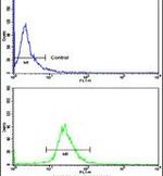 KIF3C Antibody in Flow Cytometry (Flow)