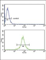 KIR2DL4 Antibody in Flow Cytometry (Flow)
