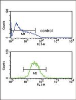 KIR3DL2 Antibody in Flow Cytometry (Flow)