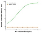 KIT Antibody in Luminex (Luminex)