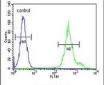 KLC3 Antibody in Flow Cytometry (Flow)