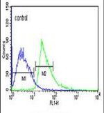 KLHL6 Antibody in Flow Cytometry (Flow)