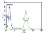 KLHL9 Antibody in Flow Cytometry (Flow)